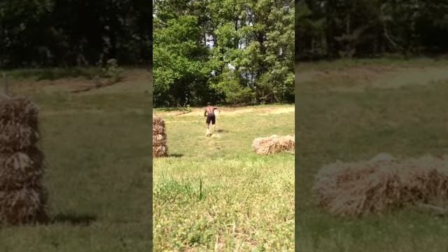 2015 DB (Michael Dorsey) 5'8" 170 lbs - 4.55 40 yard dash смотреть онлайн