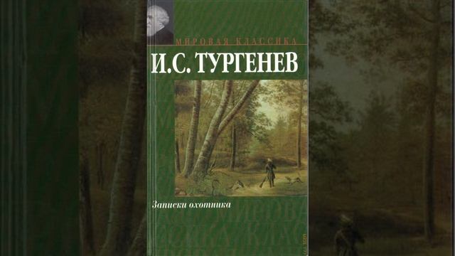 Уездный лекарь. Рассказ Ивана Сергеевича Тургенева. Краткий пересказ. смотреть онлайн