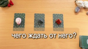 Чего ждать от него в ближайшее время? Гадание таро онлайн