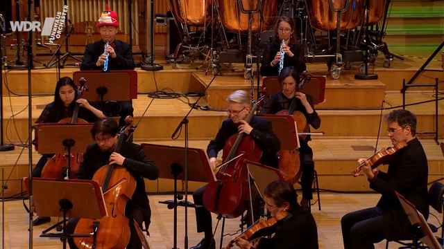 Angry Birds Theme - Ari Pulkkinen | WDR Funkhausorchester