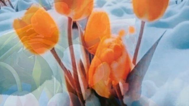 970.🎼. Kevin Kern - «Childhood Remembered» смотреть онлайн