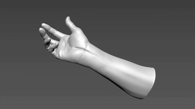 Zbrush hand study sculpt смотреть онлайн