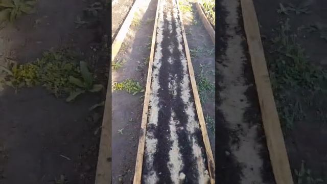Вечерний обход, вспахали место под картофель😃 смотреть онлайн