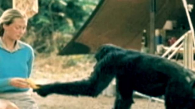 Wonder Woman Underwear by Raundi Moore Kondo смотреть онлайн