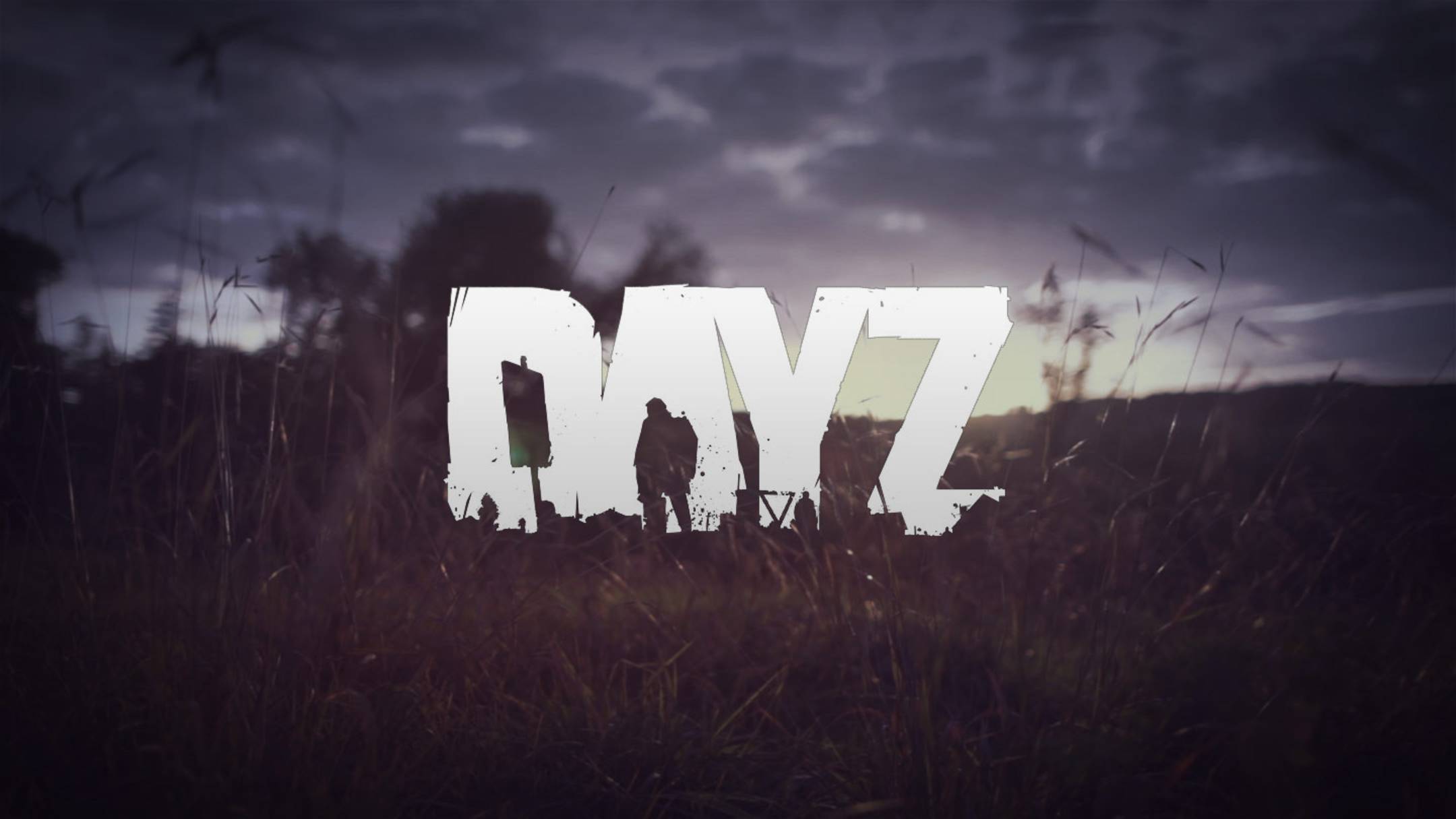 DayzLand 
6 SERVER