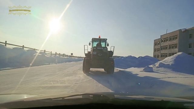 Воркута. 05.03.25. Солнце, куропатки, зимняя весна. смотреть онлайн