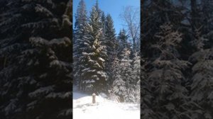 №72 Сонастройка структур сознания и структур головного мозга