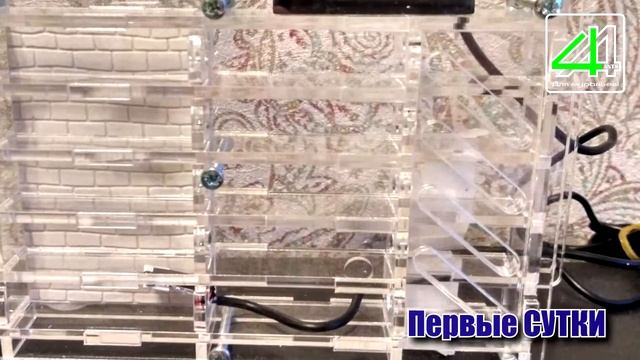 Crystal GL от 4ants, тест увлажнения смотреть онлайн
