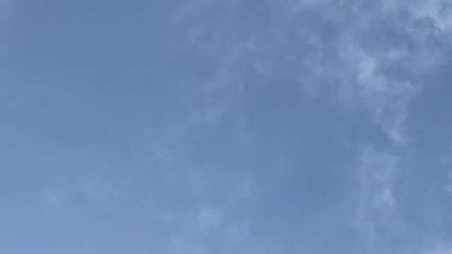 Широкохвостые голуби Саламбека в Грозном! смотреть онлайн