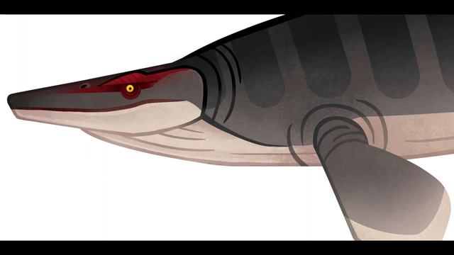 New Species of Mosasaur! Lord of The Maastrichtian Seas Hainosaurus boubker By Grecovia смотреть онлайн