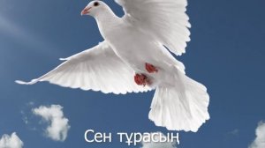 аке туралы жыр караоке