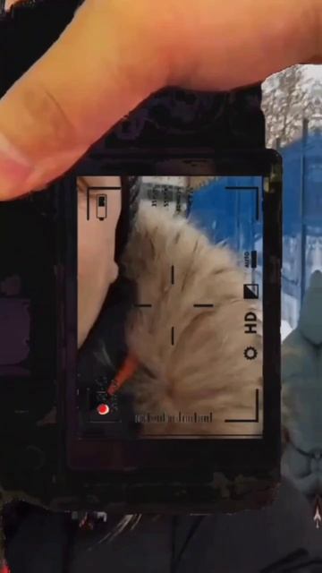 Доброго времени всем друзьям 😍 смотреть онлайн