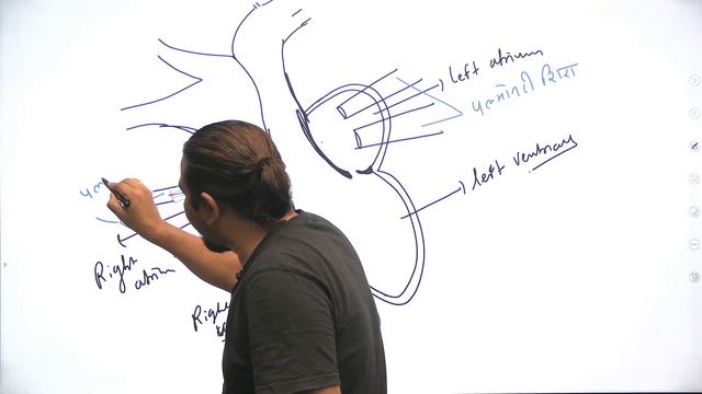 General Science | Circulatory System | Crack UPSC CSE 22/23 | Madhukar Kotawe смотреть онлайн