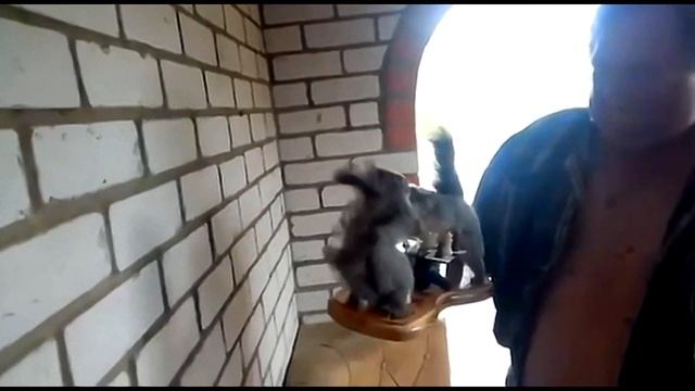Миссия выполнена! смотреть онлайн