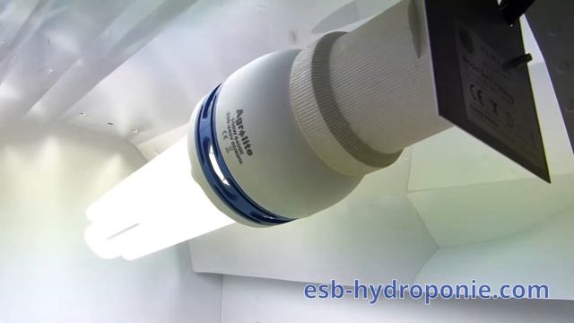 Acheter lampe CFL смотреть онлайн