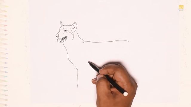 Dingo | Dingo animal drawings | How to draw A Dingo step by step | Easy drawing tutorials смотреть онлайн