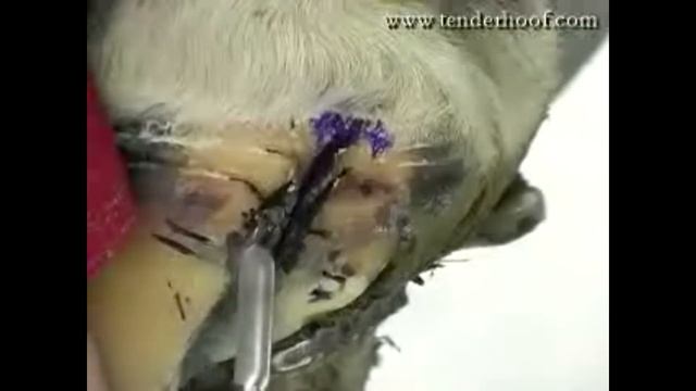 quarter crack repair ian mckinlay lacing bad crack смотреть онлайн