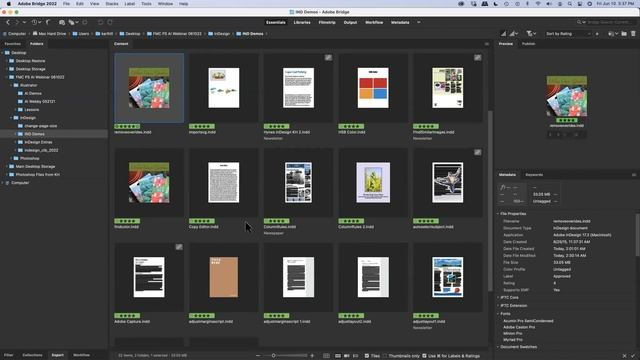 What's New in InDesign | FMC Webinar смотреть онлайн