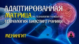 Менингит  🎶 программа матрица по технологии Гаряева П.П ☀️ SoftRadio.ru