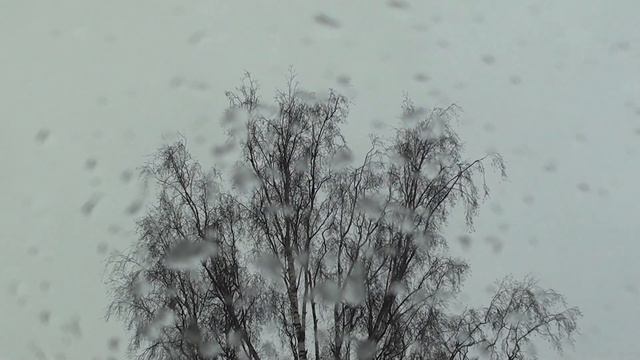 МТЗ закрылся вернулась зима смотреть онлайн