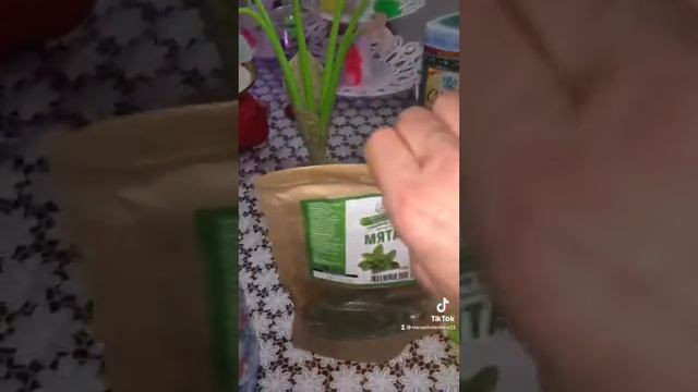 Мужчины, не увлекайтесь чаем с мятой - плохо влияет на потенцию! смотреть онлайн