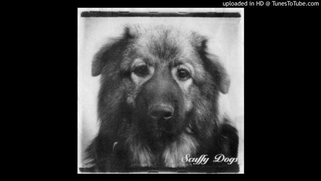 Scuffy Dogs - Scuffy Dogs CD - 06 - Psihopat смотреть онлайн