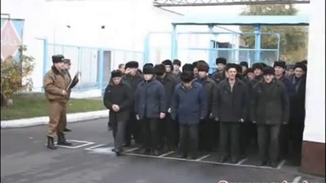 5 Наговицын Сергей Там на елках шишки,там медведи смотреть онлайн