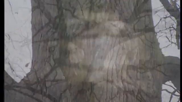 Утешители смотреть онлайн