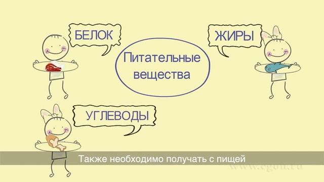 Ролик Принципы здорового питания школьников 74222699 6 смотреть онлайн