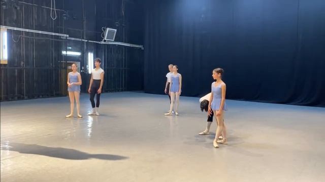 Владение техникой исполнения дуэтноклассического танца смотреть онлайн