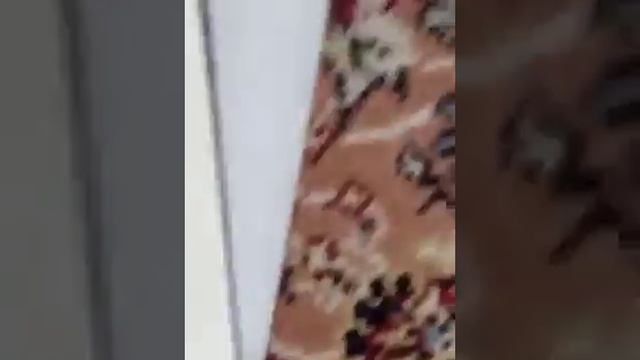 bulugul miram, likitan bogi смотреть онлайн