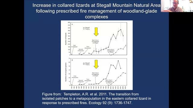 Missouri's Amazing Oaks Session 2 Part 2 смотреть онлайн
