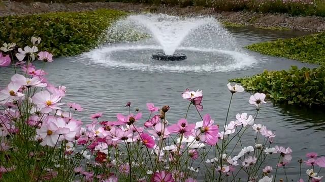 아기 자장가 백색소음 분수대 물소리 - 신생아 수면 효과음 3시간 смотреть онлайн