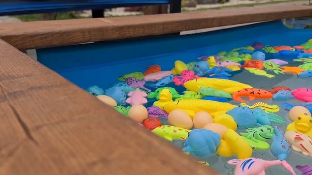 Настольные игры. РК "МАРЛИН" смотреть онлайн