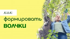 Как ПРАВИЛЬНО формировать ВОЛЧКИ после обрезки