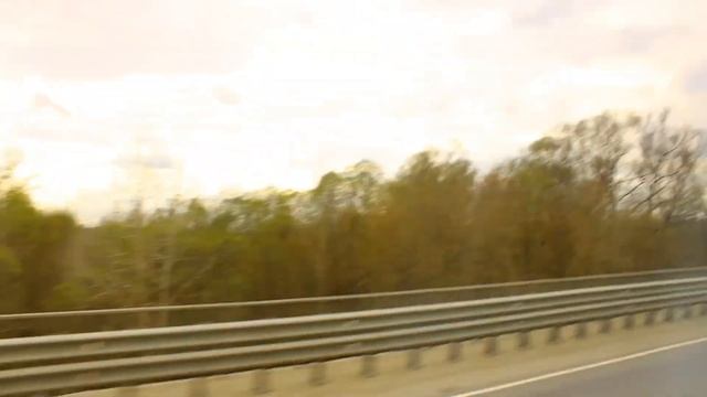 Наблюдение за природой.Nature observation.14.04.2024. смотреть онлайн