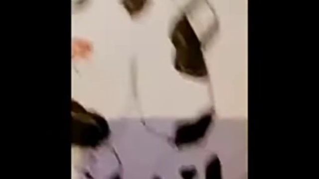 недо-художники(начинающие) в лайке 💙) смотреть онлайн