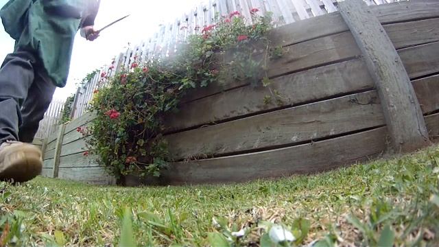 eastern brown snake in coomera.MP4 смотреть онлайн