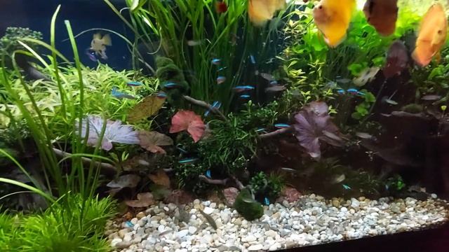 Aquatlantis смотреть онлайн