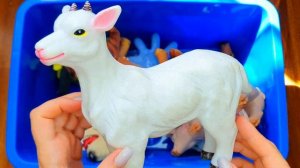 Изучаем животных из дикой природы - для детей. Морские животные. Животные океана для детей. Животные