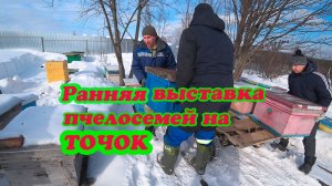 РАННЯЯ ВЫСТАВКА ПЧЁЛ ИЗ ЗИМОВНИКА, ПЛЮСЫ И МИНУСЫ НАШЕЙ РАБОТЫ.