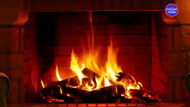 В гостях хорошо, но вернуться домой надо живым... смотреть онлайн