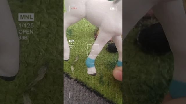 \смелый жеребёнок/ снимать 2 часть с ним?
