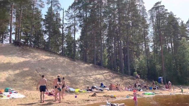 Лесная рапсодия смотреть онлайн