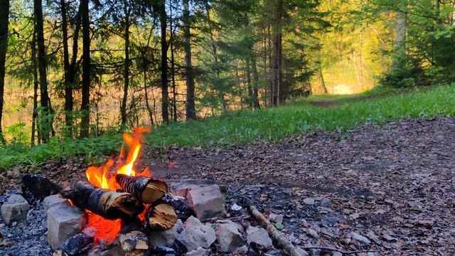 Fire crankle and bird sings near lake // приятный звук костра и природы возле озера смотреть онлайн