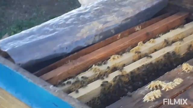 вывод маток как есть 2 смотреть онлайн