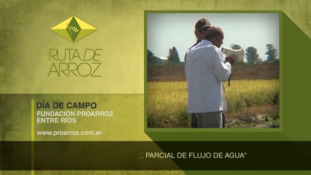 PRO ARROZ PARA WEB смотреть онлайн