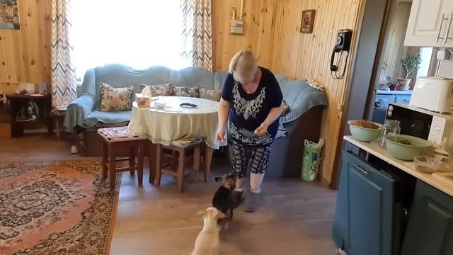 ПОКАЖУ ЧТО КУПИЛИ НА ПРАЗДНИЧНЫЙ СТОЛ. ЛЁШИК ПРОБУЕТ КУЛИЧИ.