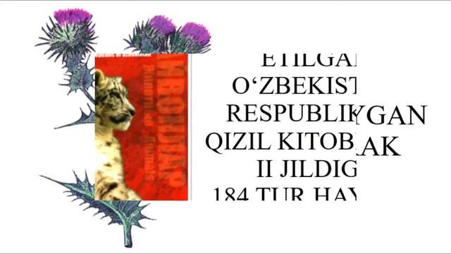 QIZIL KITOB | ҚИЗИЛ КИТОБ