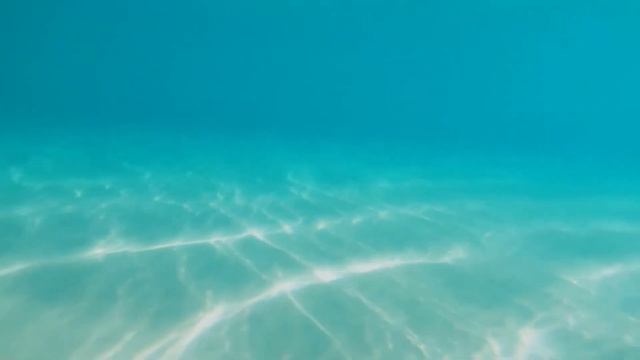 Mega Hits 2021 🌱 The Best Of Vocal Deep House Music Mix 2021 🌱 Summer Music Mix 2021#01 смотреть онлайн